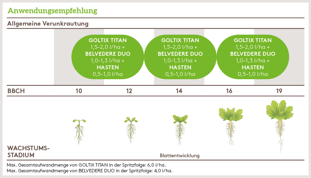 Frühjahr Anwendung_BELVEDERE_DUO_FJ_AT_01.jpg