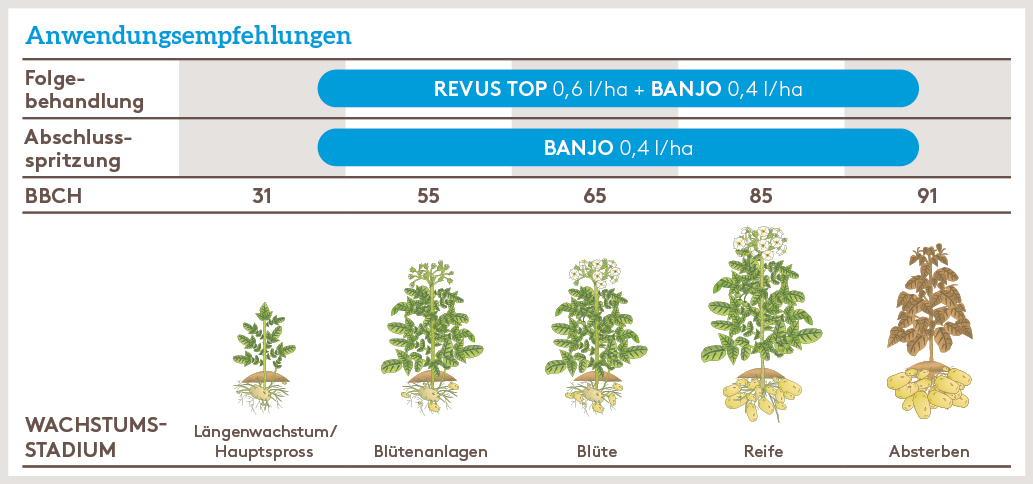 Frühjahr Anwendung_BANJO_FJ_AT_01.jpg