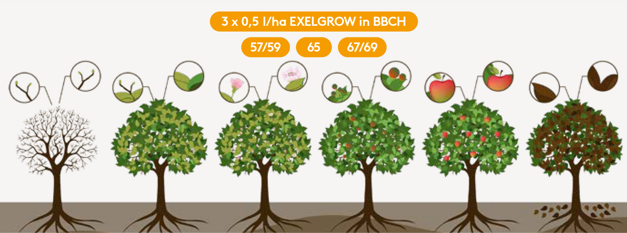 Frühjahr EXELGROW_AT_AWE2026.jpg