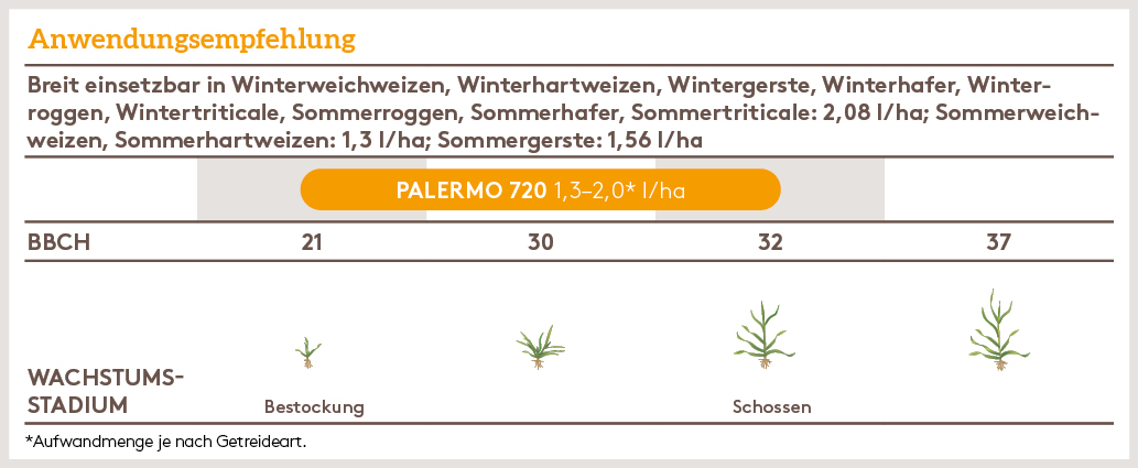 Frühjahr Anwendung_PALERMO_FJ_AT_01.jpg