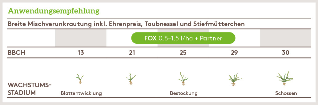 Frühjahr Anwendung_FOX_FJ_DE_01.jpg