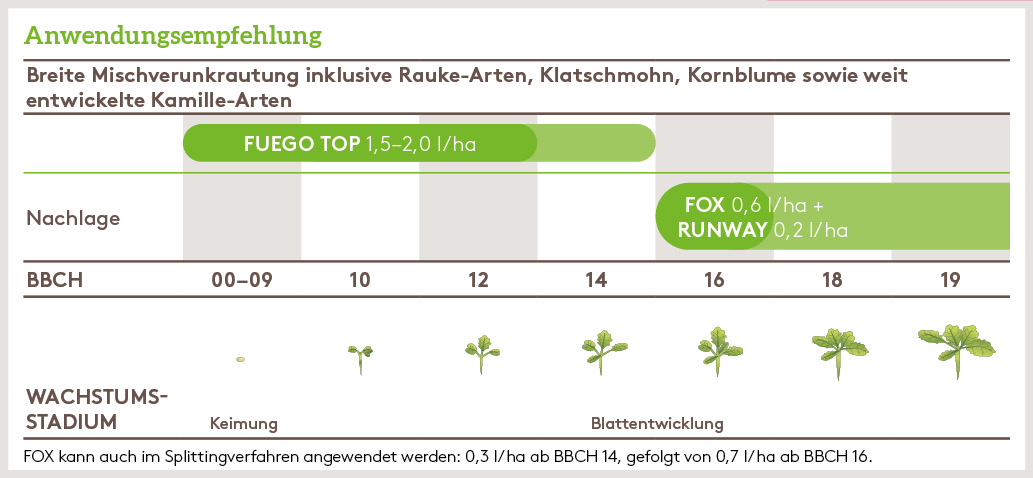 Herbst Anwendung_FOX_HE_DE_01.jpg