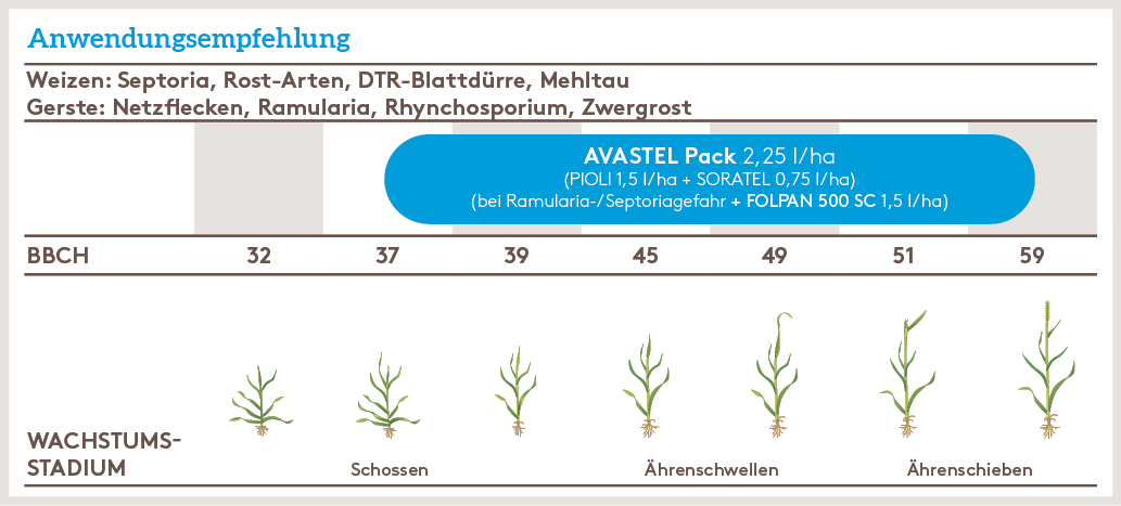Frühjahr Anwendung_AVASTEL_Pack_FJ_AT_01.jpg