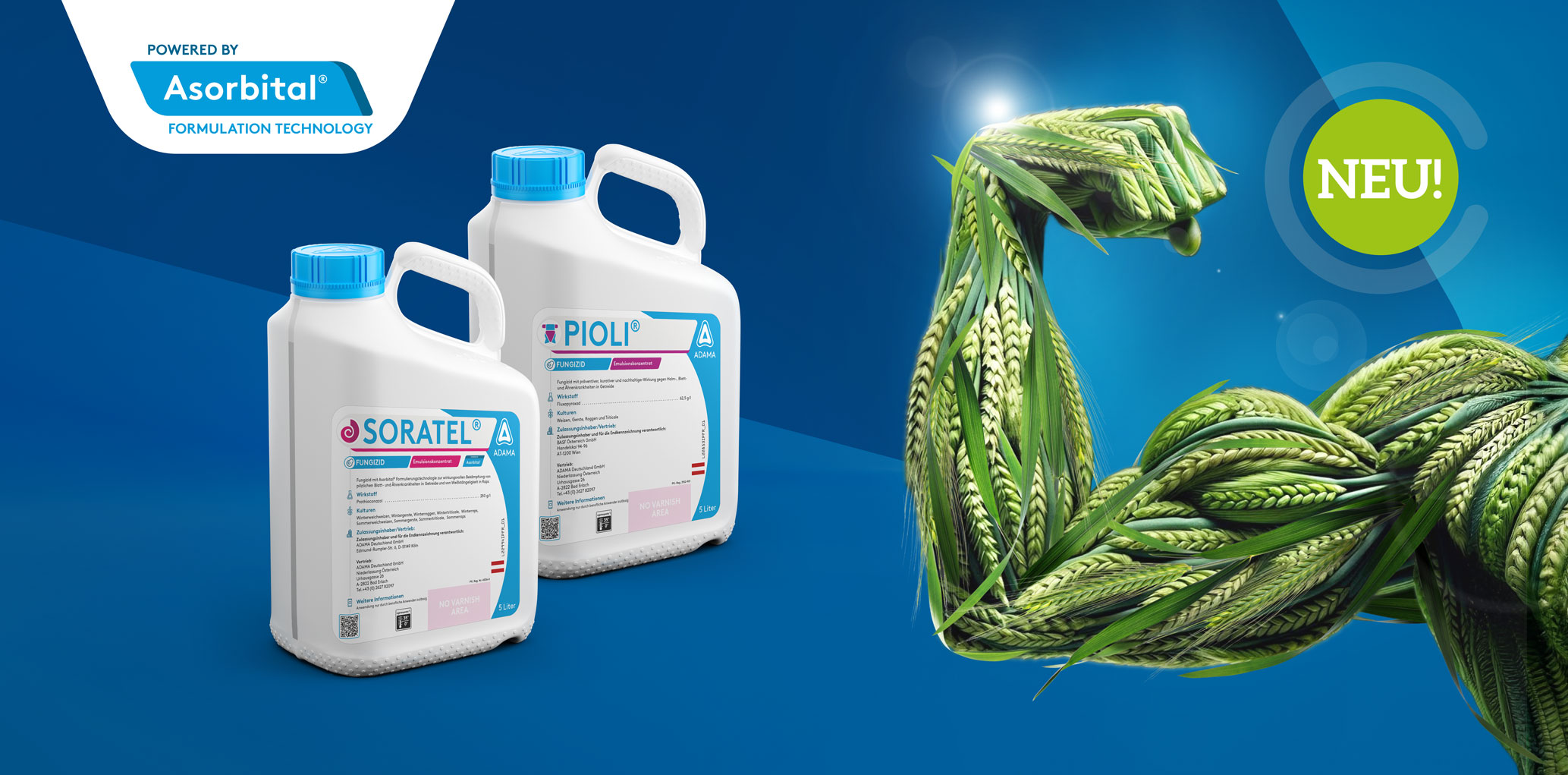 Marketing T_Banner_AVASTEL.jpg