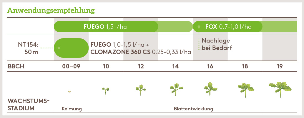 Herbst Anwendung_FUEGO_HE_DE_01.jpg