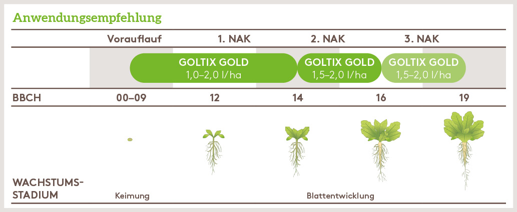 Frühjahr Anwendung_GOLTIX_GOLD_FJ_DE_01.jpg