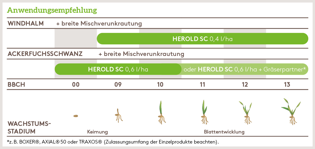 Herbst Anwendung_HEROLD_HE_DE_01.jpg