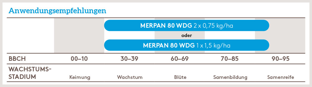 Frühjahr Anwendung_MERPAN80WDG_SOKU_DE_01.jpg