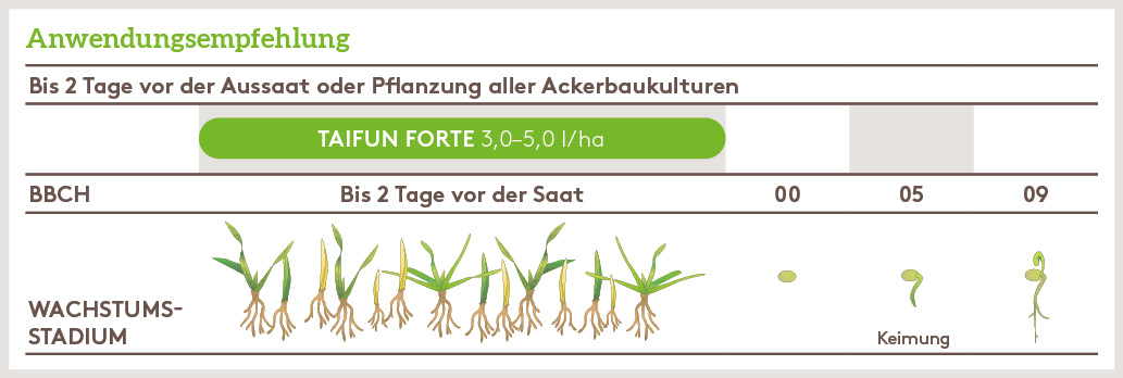 Herbst Anwendung_TAIFUN_FORTE_HE_DE_01.jpg