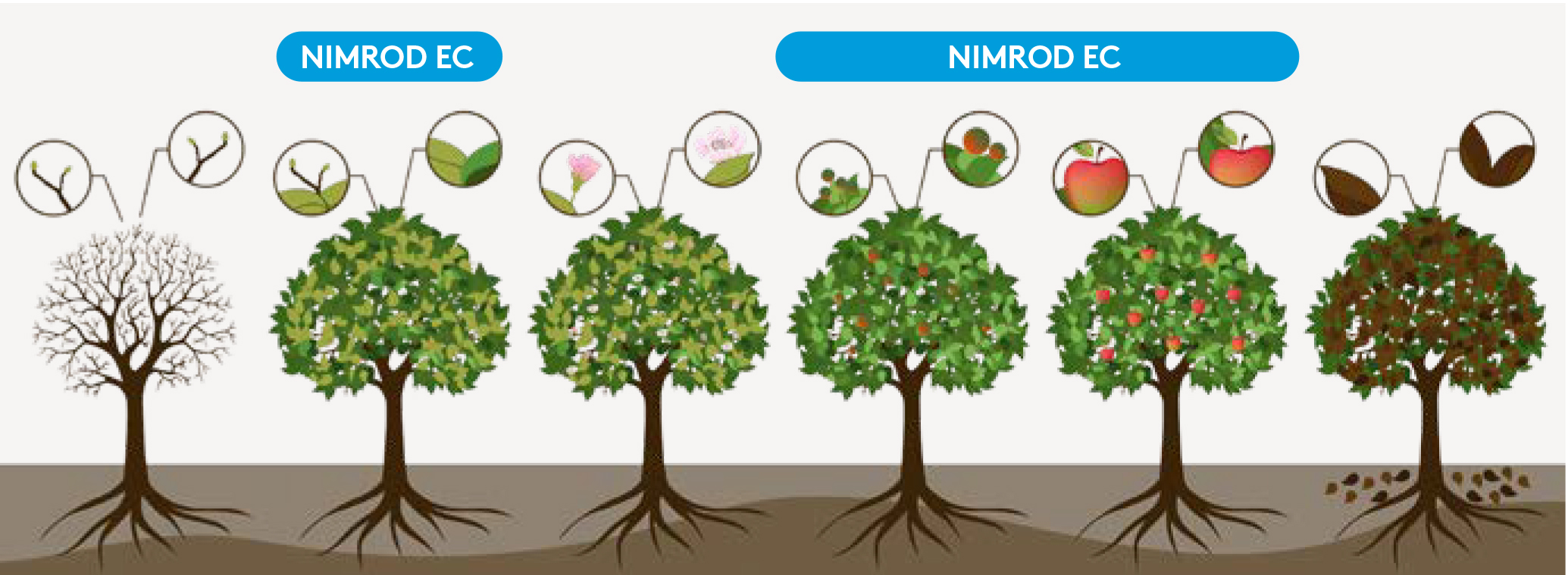 Frühjahr NIMRODEC_AT_AWE2026.jpg