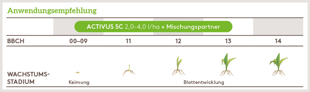 Frühjahr Anwendung_ACTIVUS_FJ_DE_01.jpg