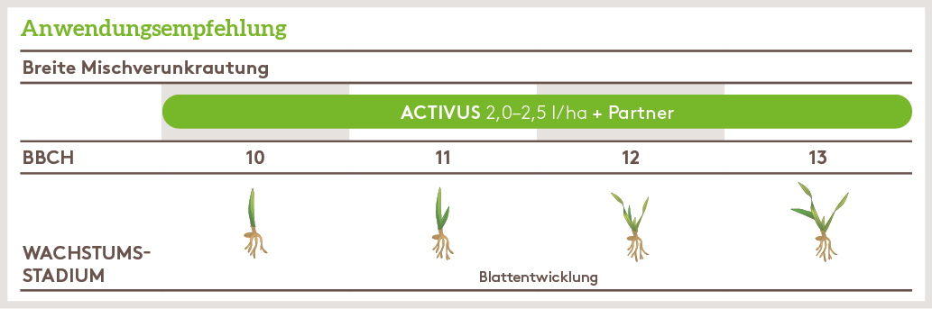 Herbst Anwendung_ACTIVUS_HE_DE_01.jpg