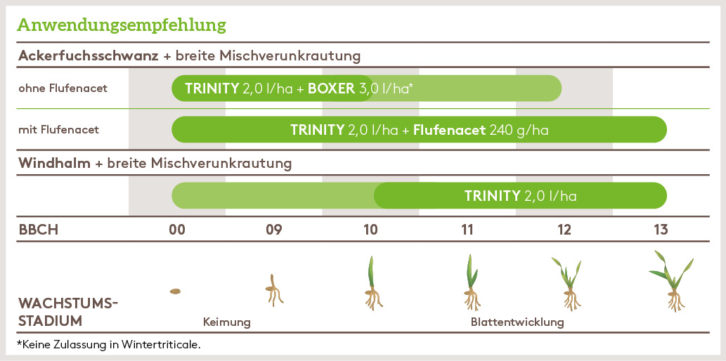 Herbst Anwendung_TRINITY_HE_DE_03.jpg