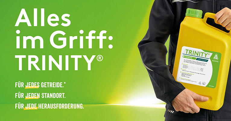 Marketing ADA_SER25_05_Blog_TRINITY-01_Content_766x400px.jpg