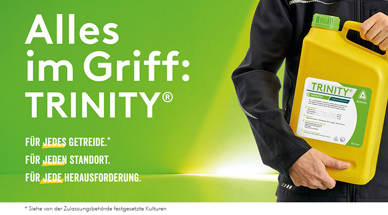 Marketing Header_TRINITY.jpg