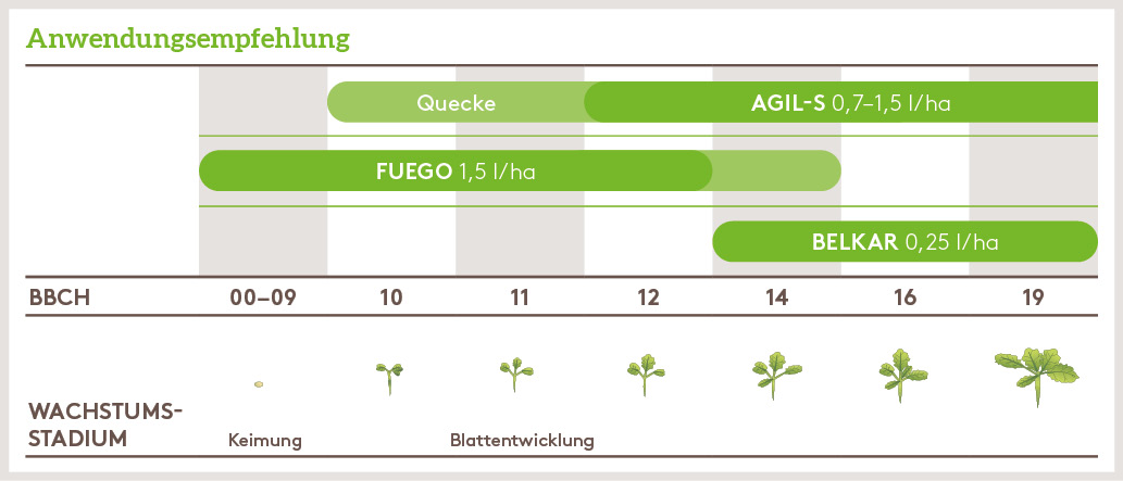 Herbst Anwendung_FUEGO_HE_AT_01.jpg